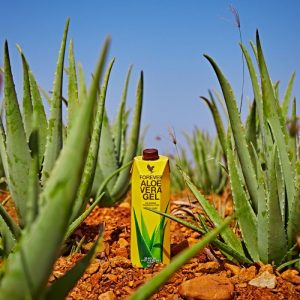 Produse Aloe Vera Forever Living